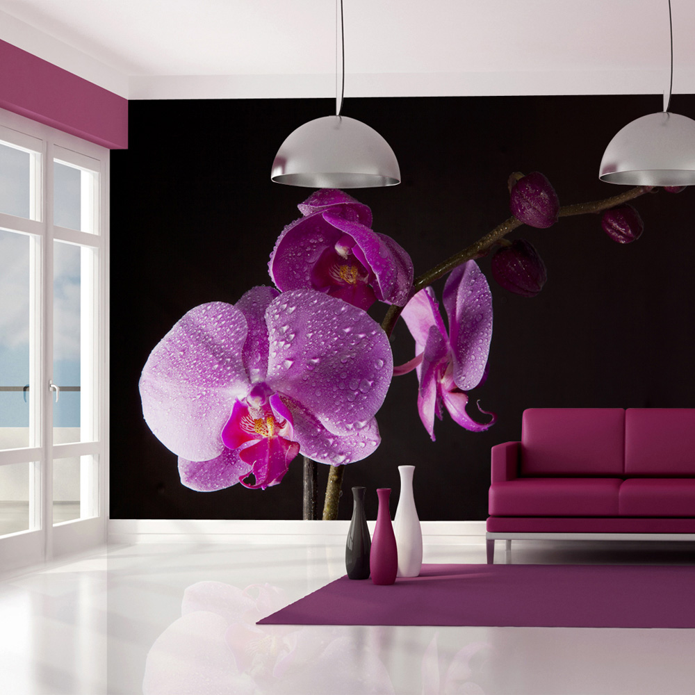 Фотообои Орхидеи Фото