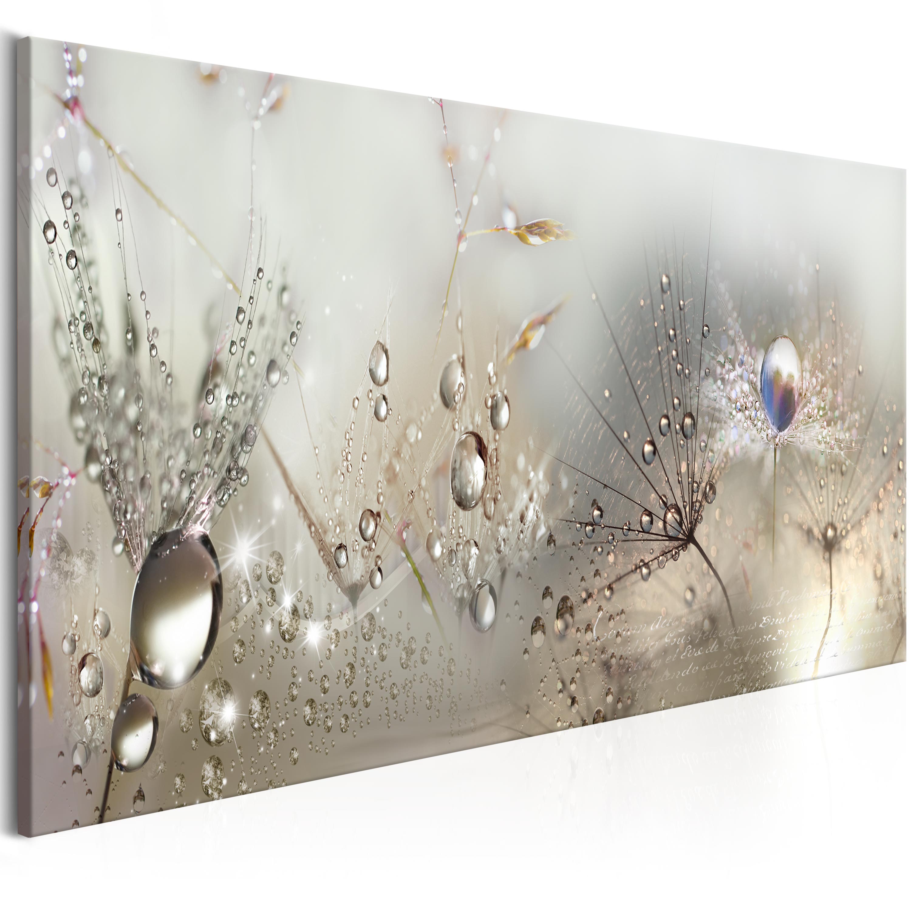 LEINWAND BILDER XXL! KUNSTDRUCK! WANDBILD! PUSTEBLUME WASSERTROPFEN B-C ...