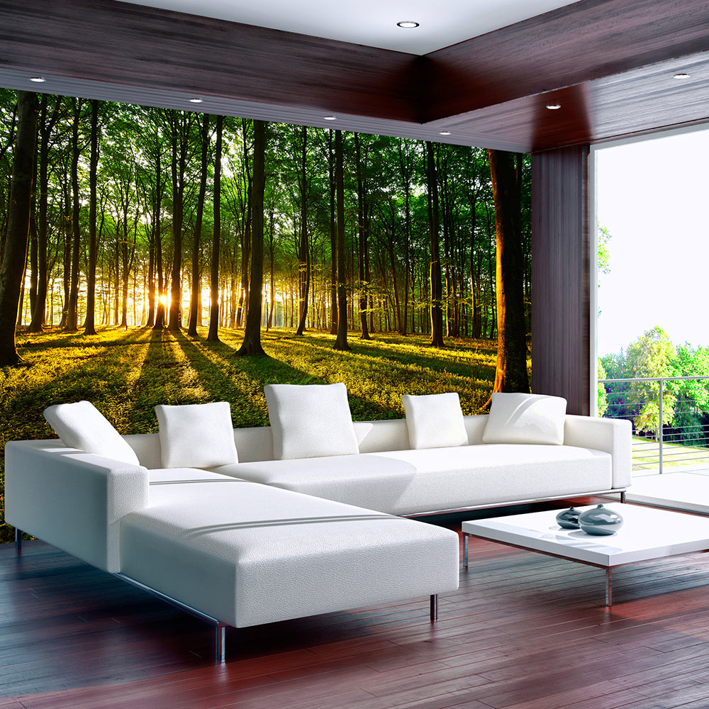 Self-adhesive Wallpaper - Spring: Morning in the Forest - 294x210