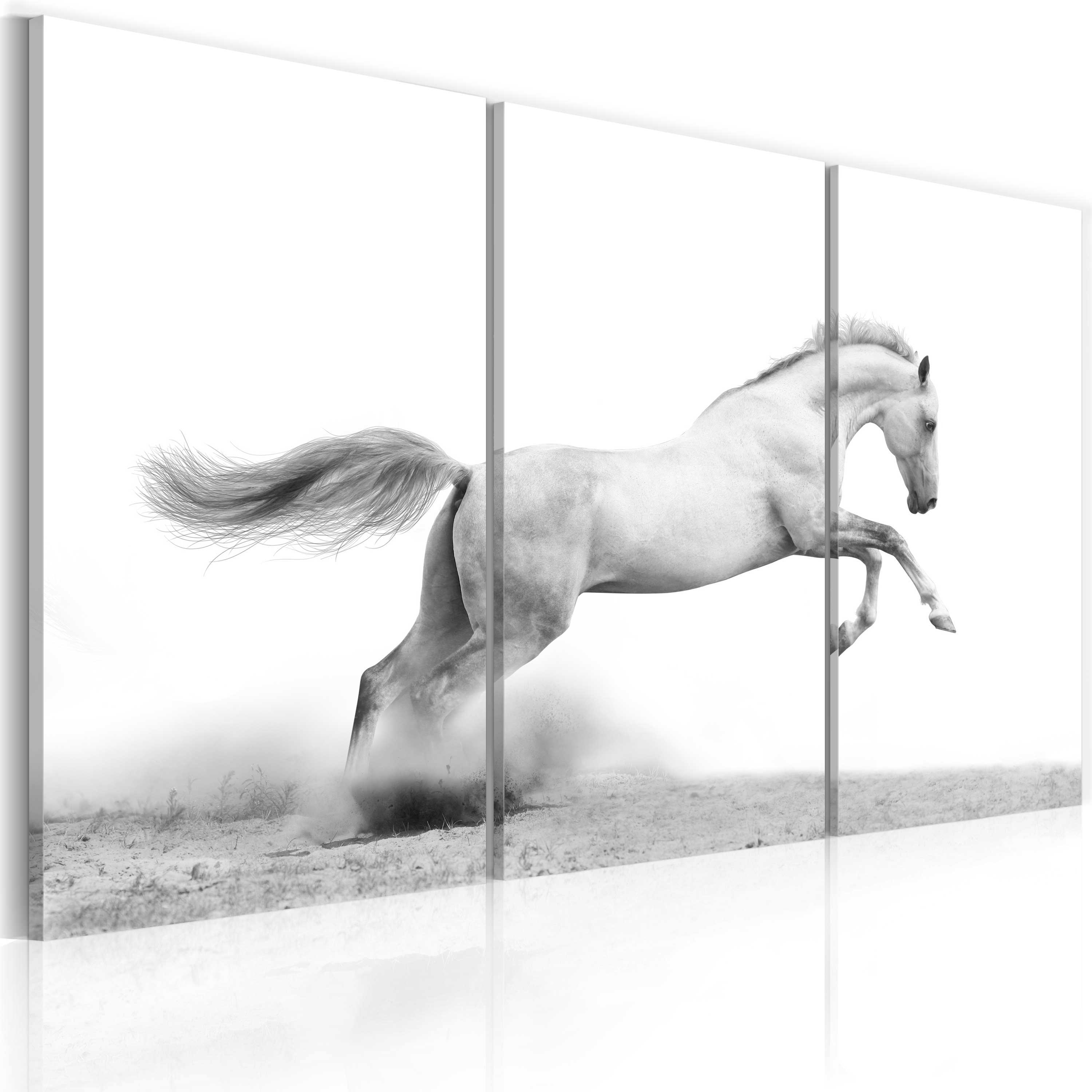 Canvas Print - A galloping horse - 120x80