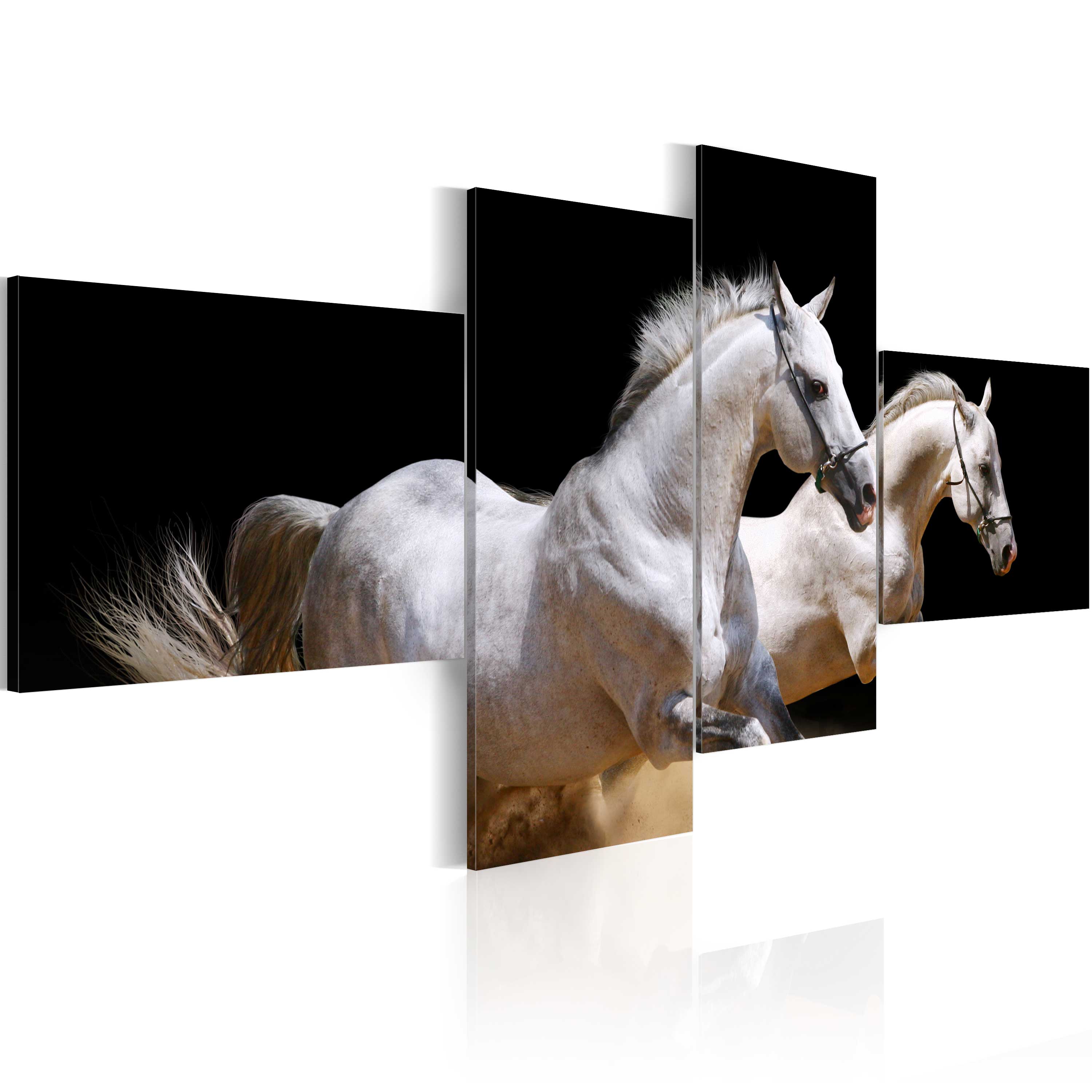 Canvas Print - Animal world- white horses galloping - 100x45