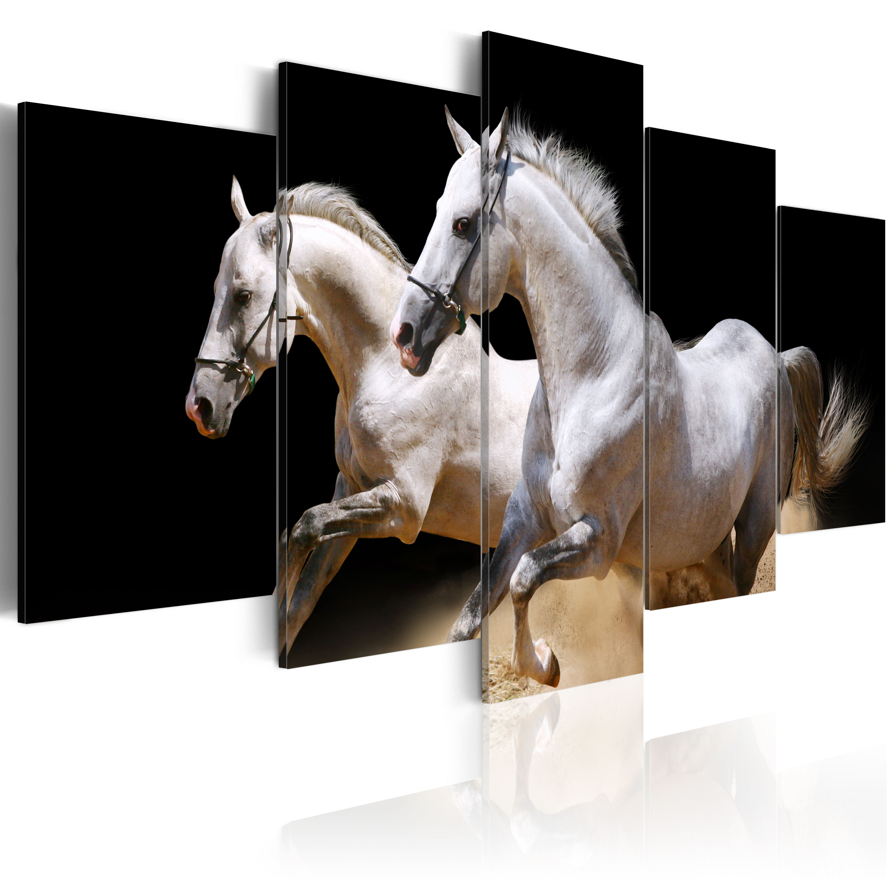 Canvas Print - Gallop- freedom and power - 100x50