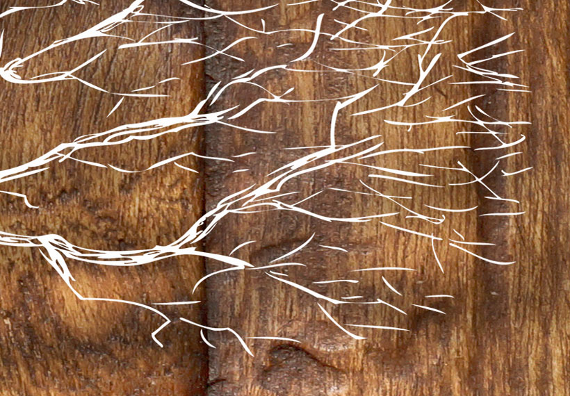 Baum Natur Holz Bretter Wandbilder Xxl Bilder Vlies Leinwand B C B