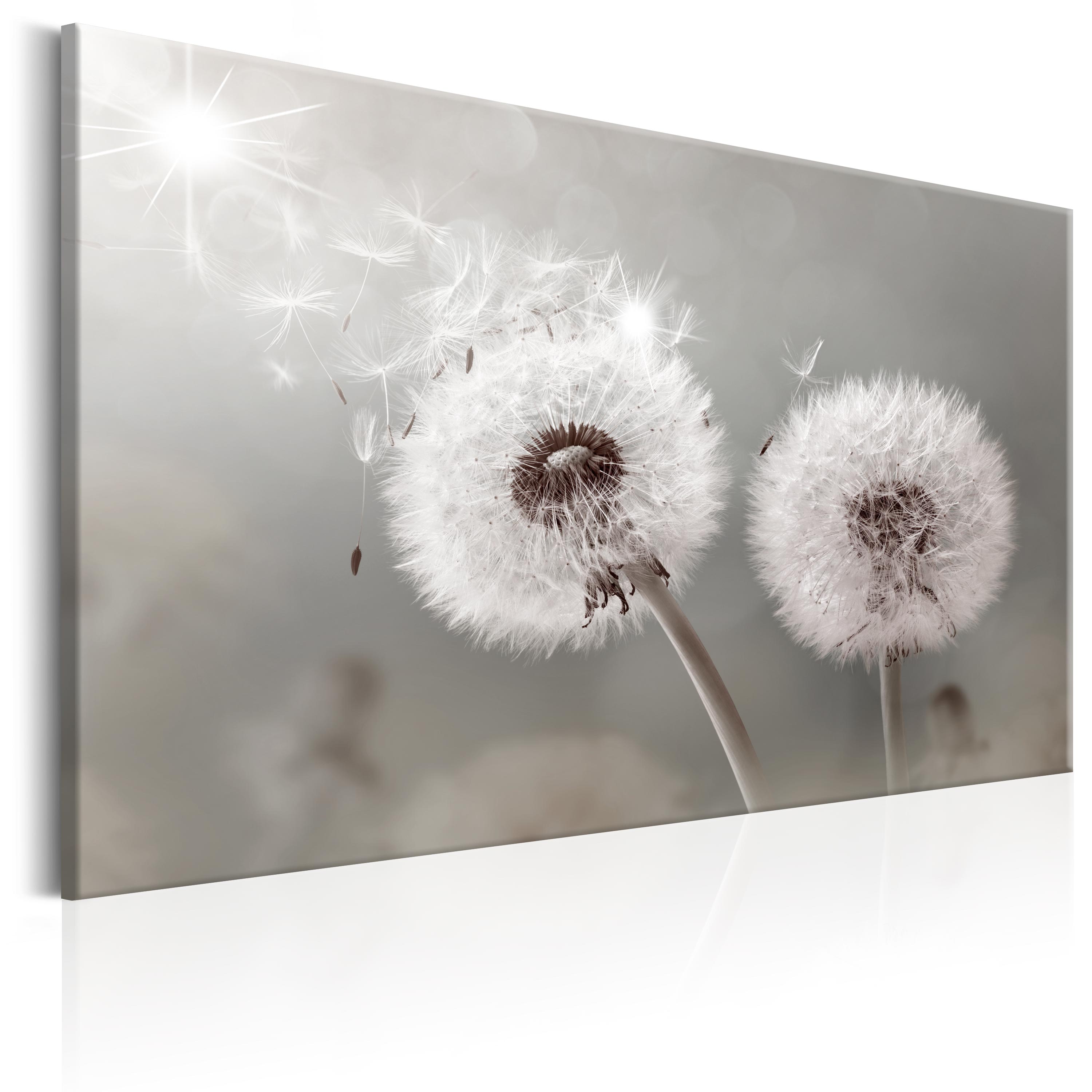 DANDELION NATURE Canvas Print Framed Wall Art Picture Photo Image b-C ...