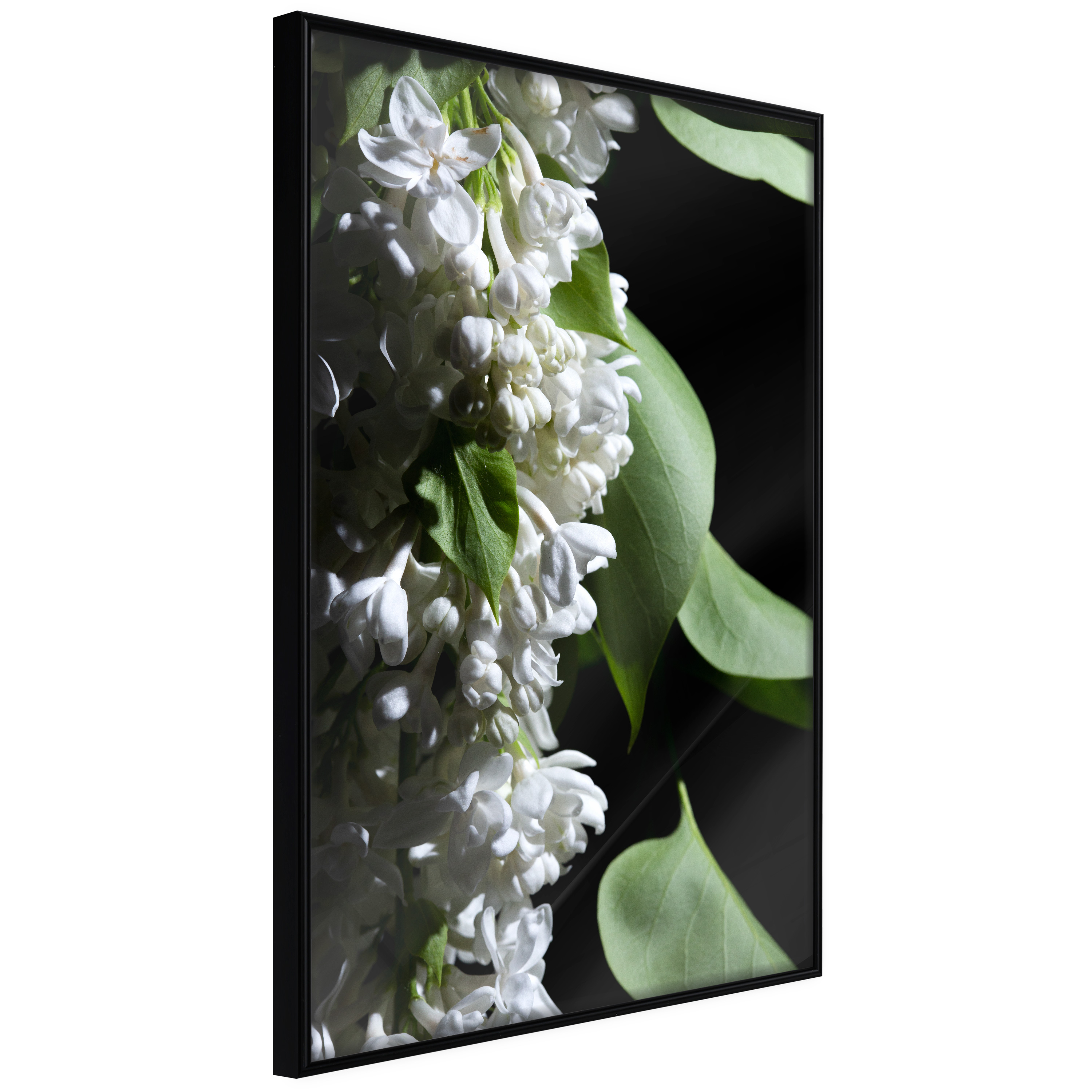 Poster - Fragrant Spring - 40x60