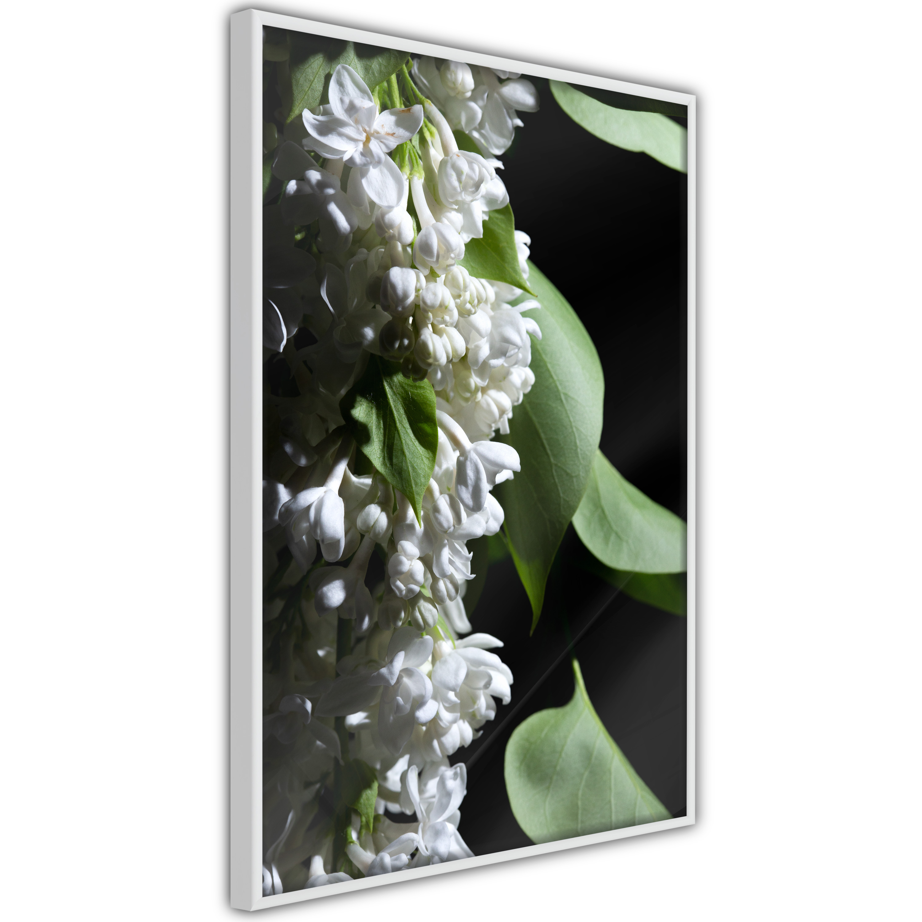 Poster - Fragrant Spring - 40x60