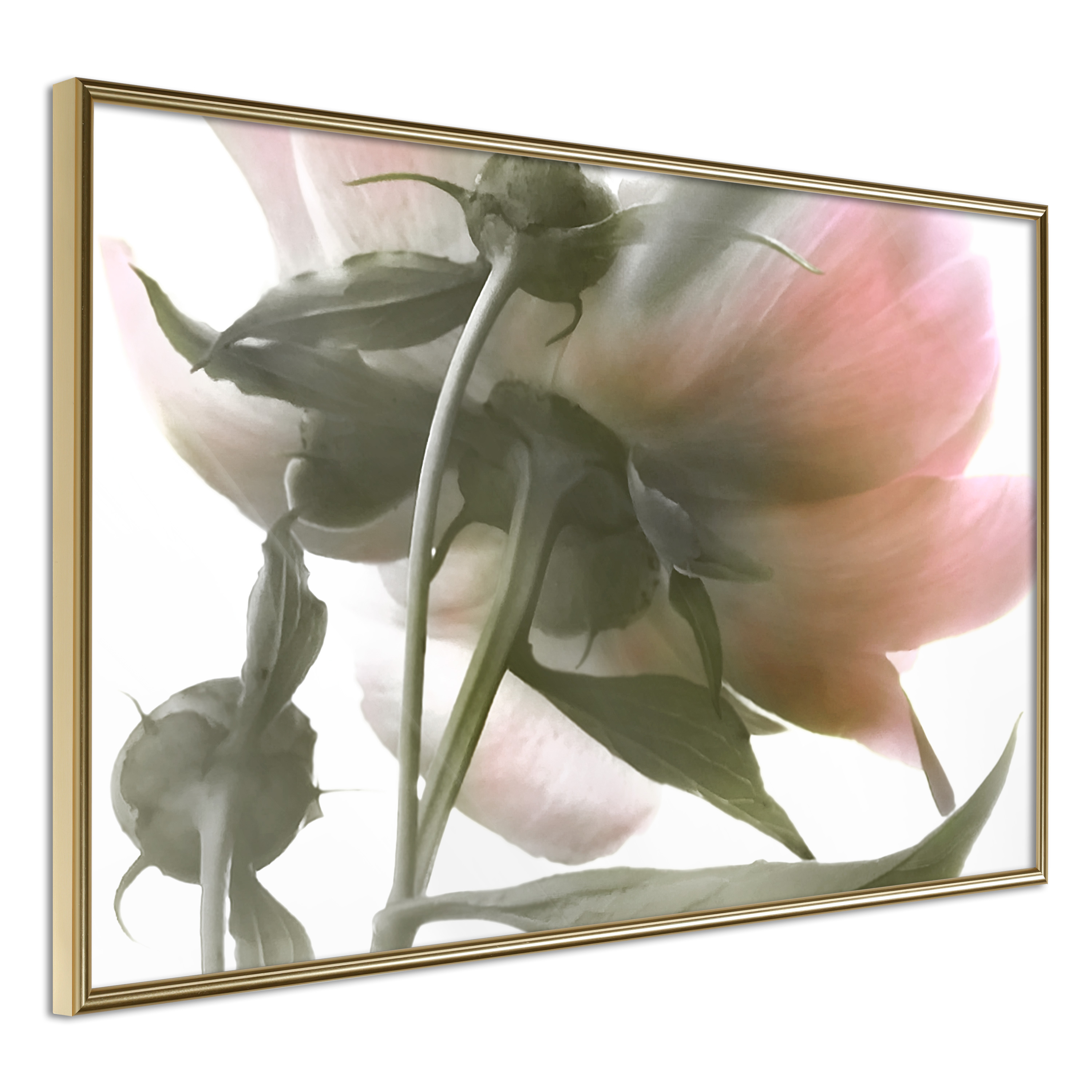 Poster - Under the Flower - 90x60