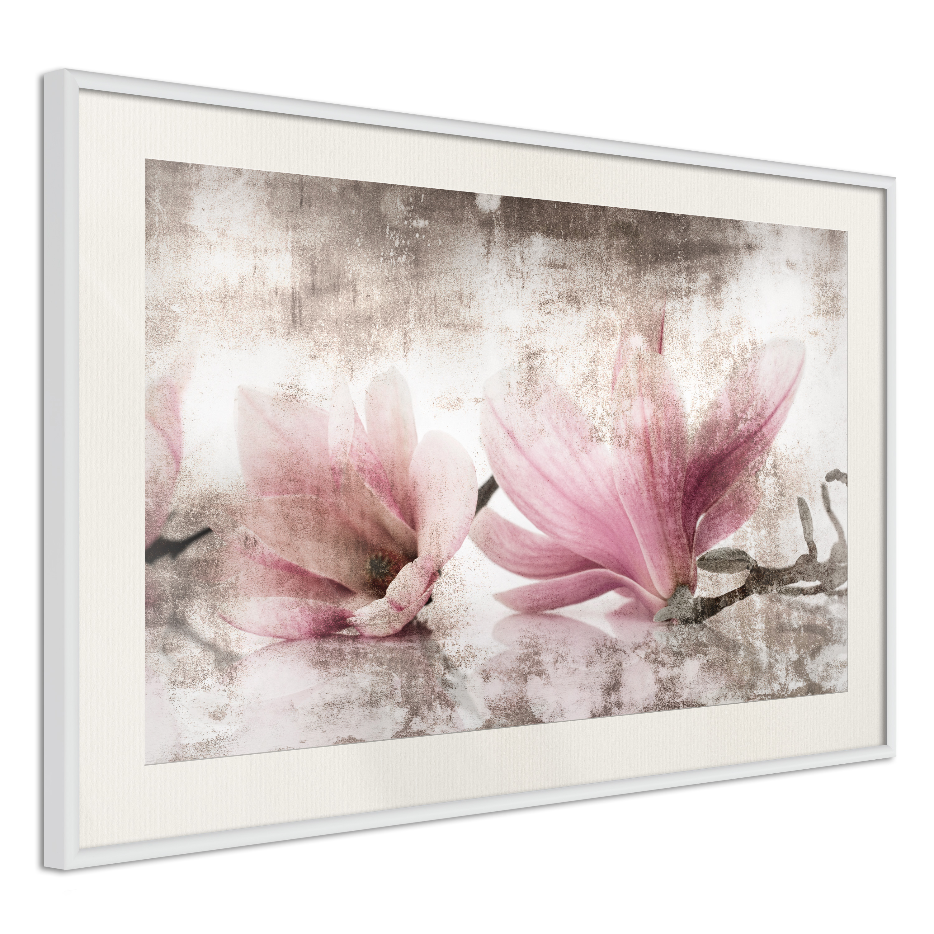 Poster - Picked Magnolias - 30x20