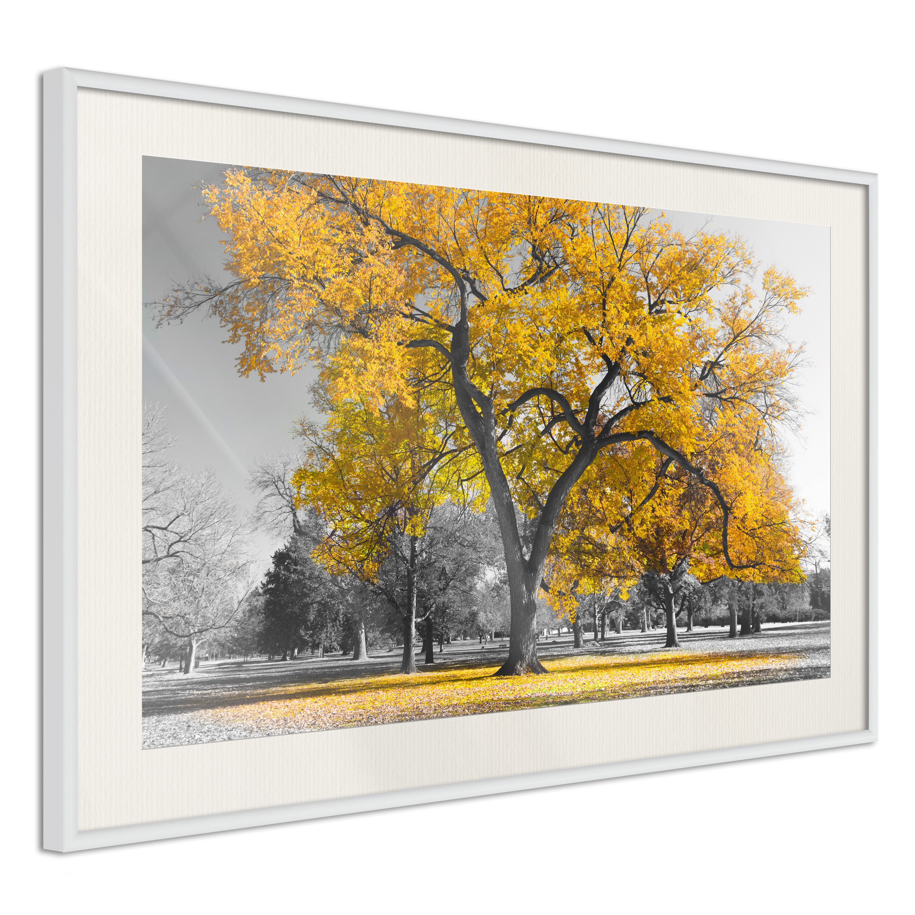 Poster - Golden Tree - 60x40