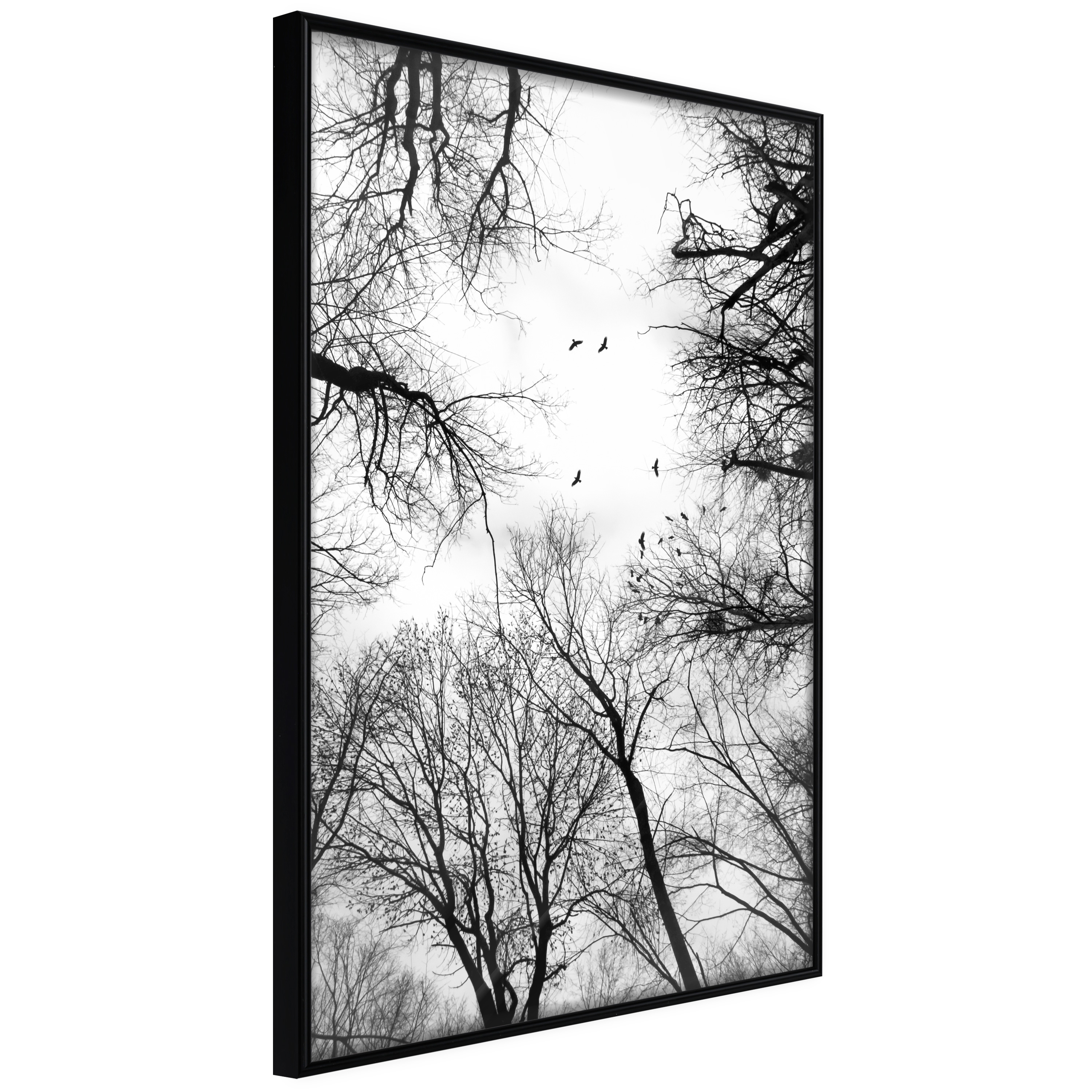 Poster - Treetops - 30x45