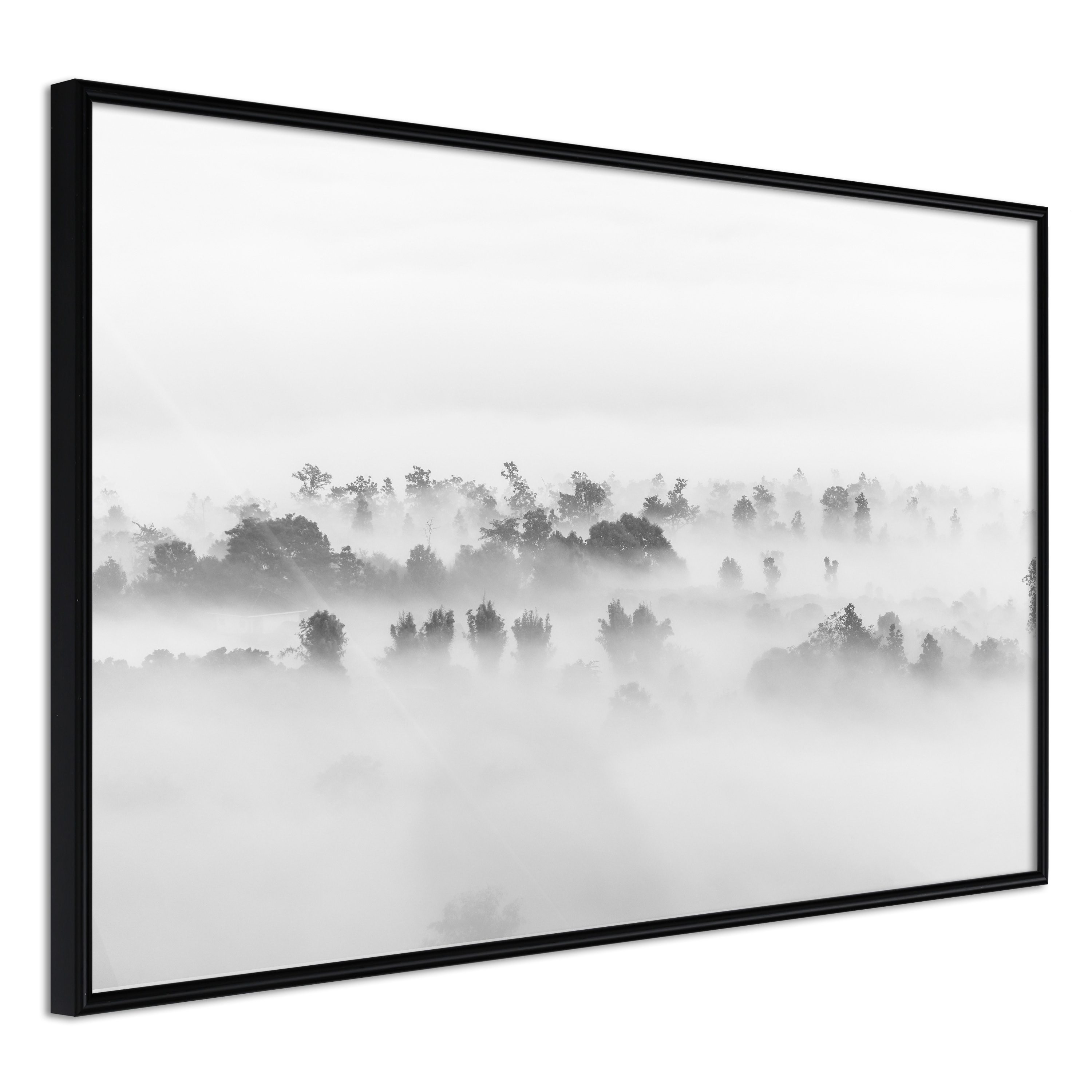 Poster - Fog Over the Forest - 90x60